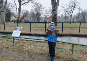 Chłopiec z książką w zoo.